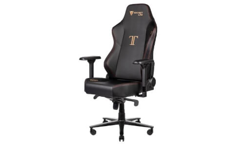 SecretLab-Titan swivel chair