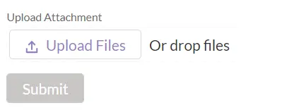 upload drop files