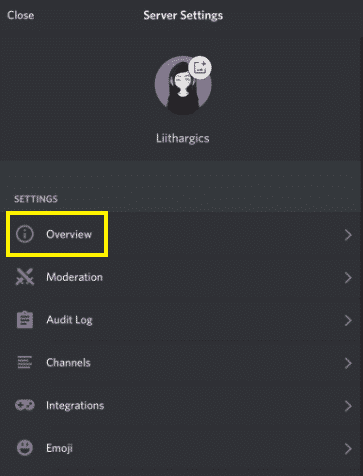 Discord mobile overview