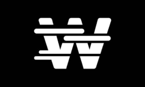 wizebot logo