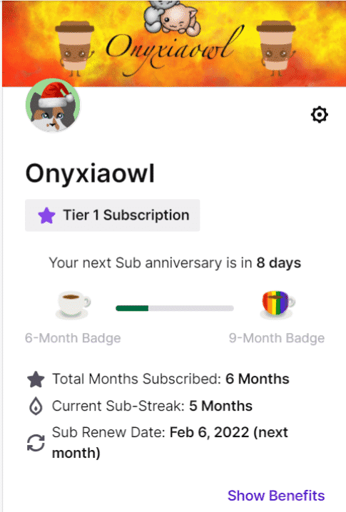 subscriptions page