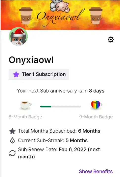 subscriptions page