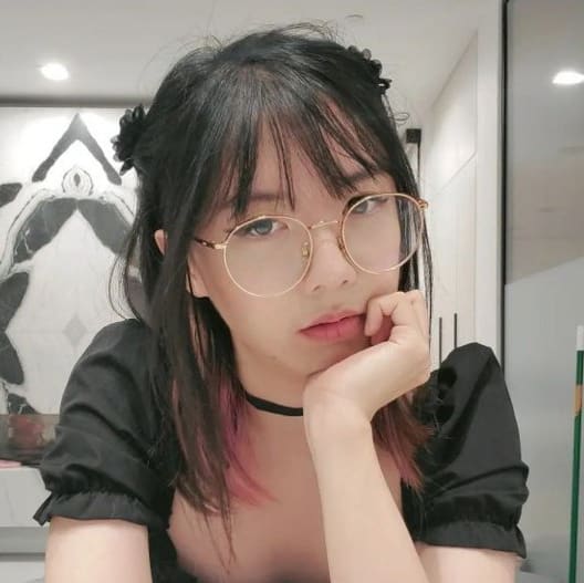 LilyPichu Net Worth