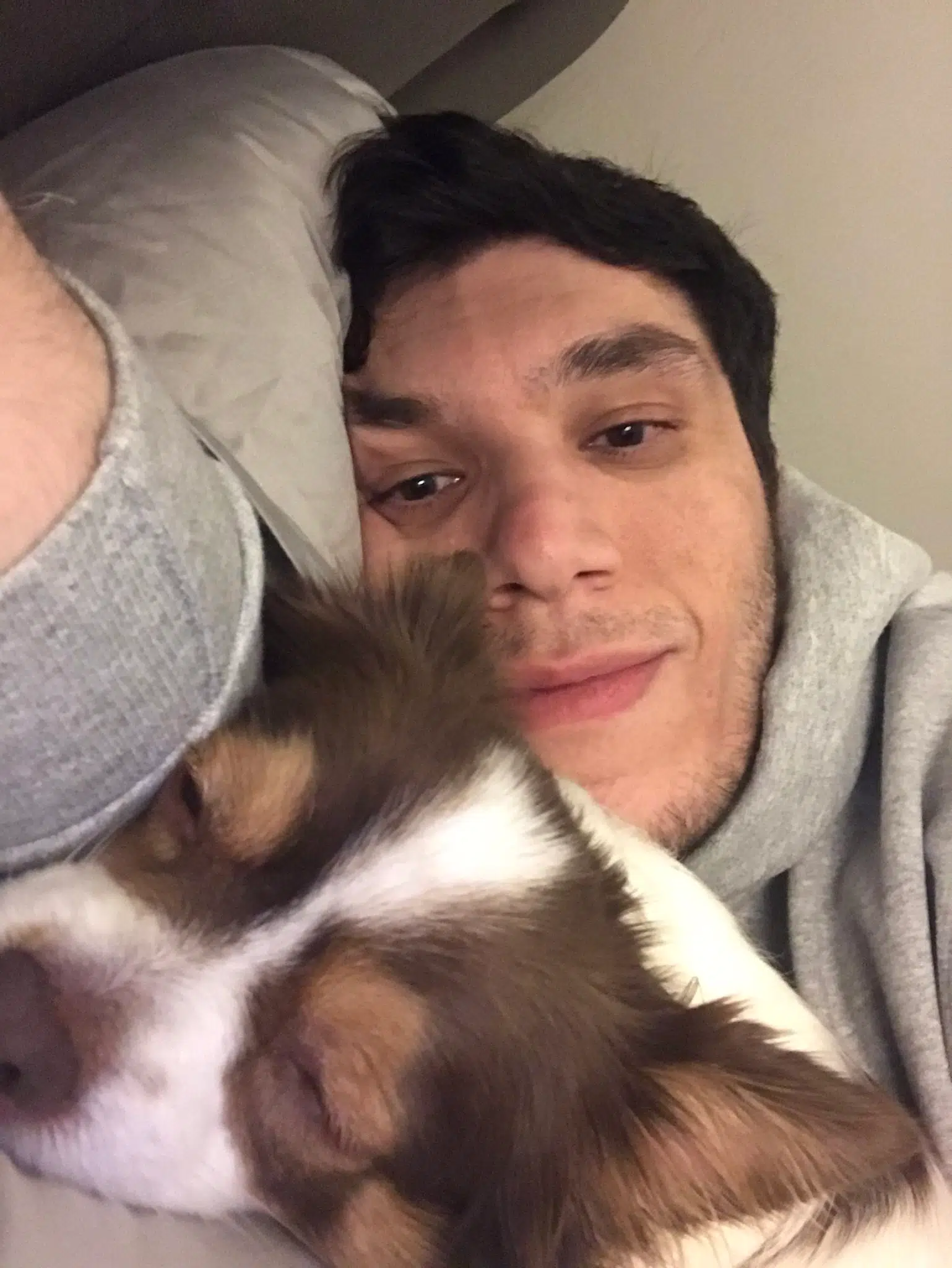 trainwreckstv in bed with pet dog
