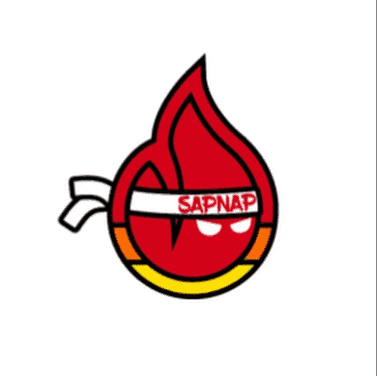 Sapnap's latest logo