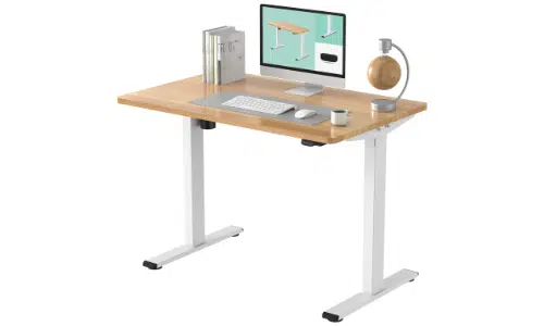 FlexiSpot EC1 Standing Desk
