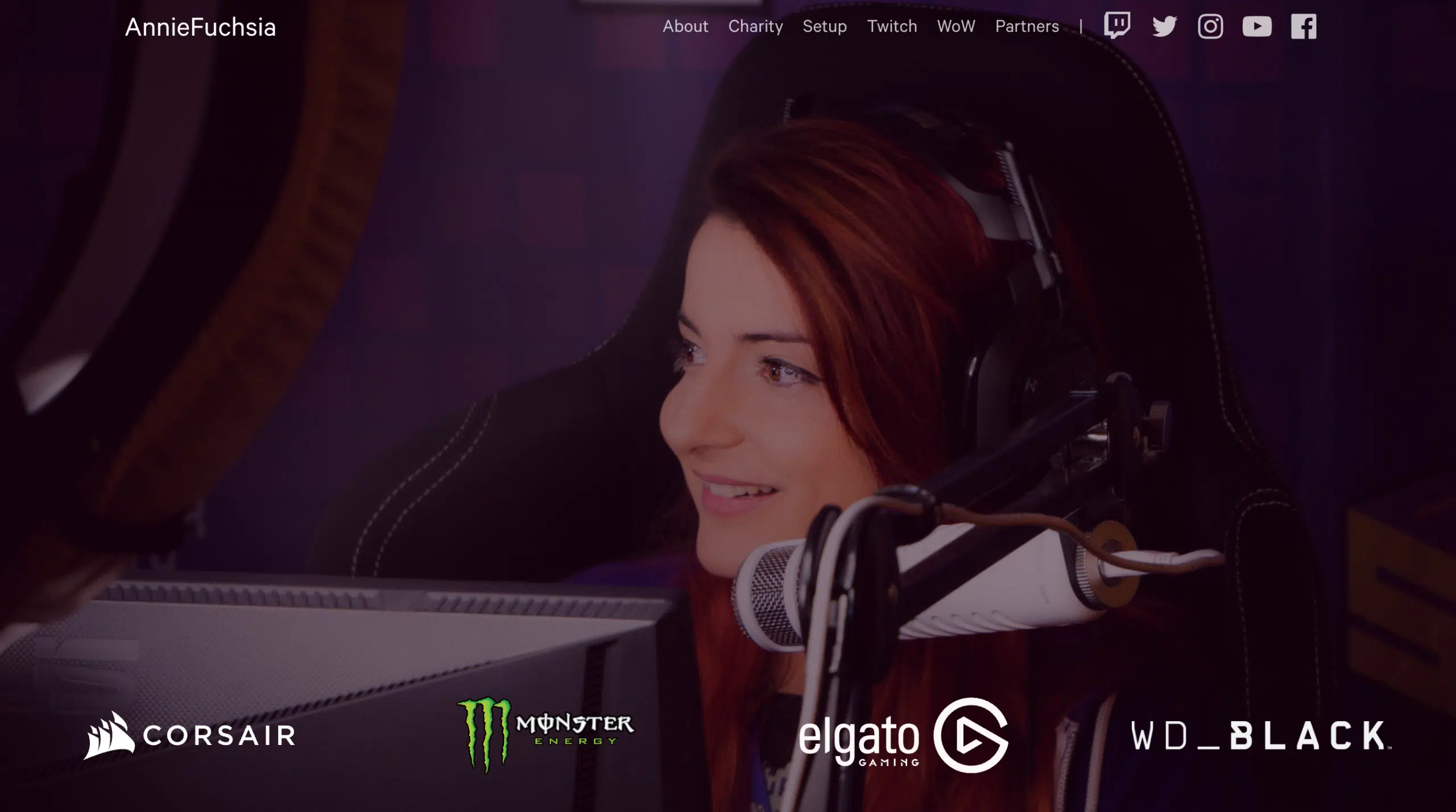 AnnieFuchsia's sponsors presented on her website
